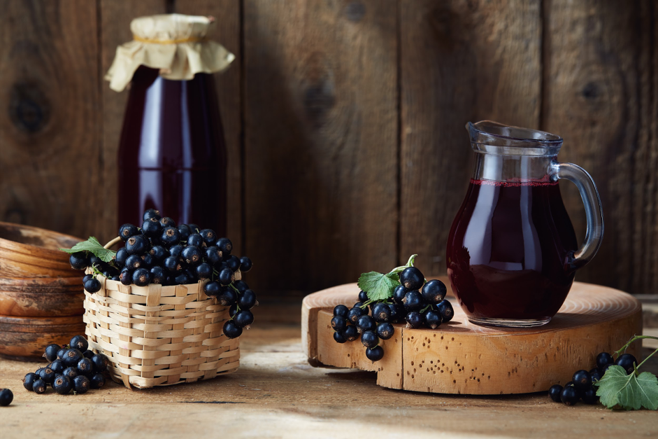 Superfood of the Future: How New Zealand’s Blackcurrants Can Meet the Needs of a Changing World