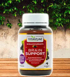 Brain Support