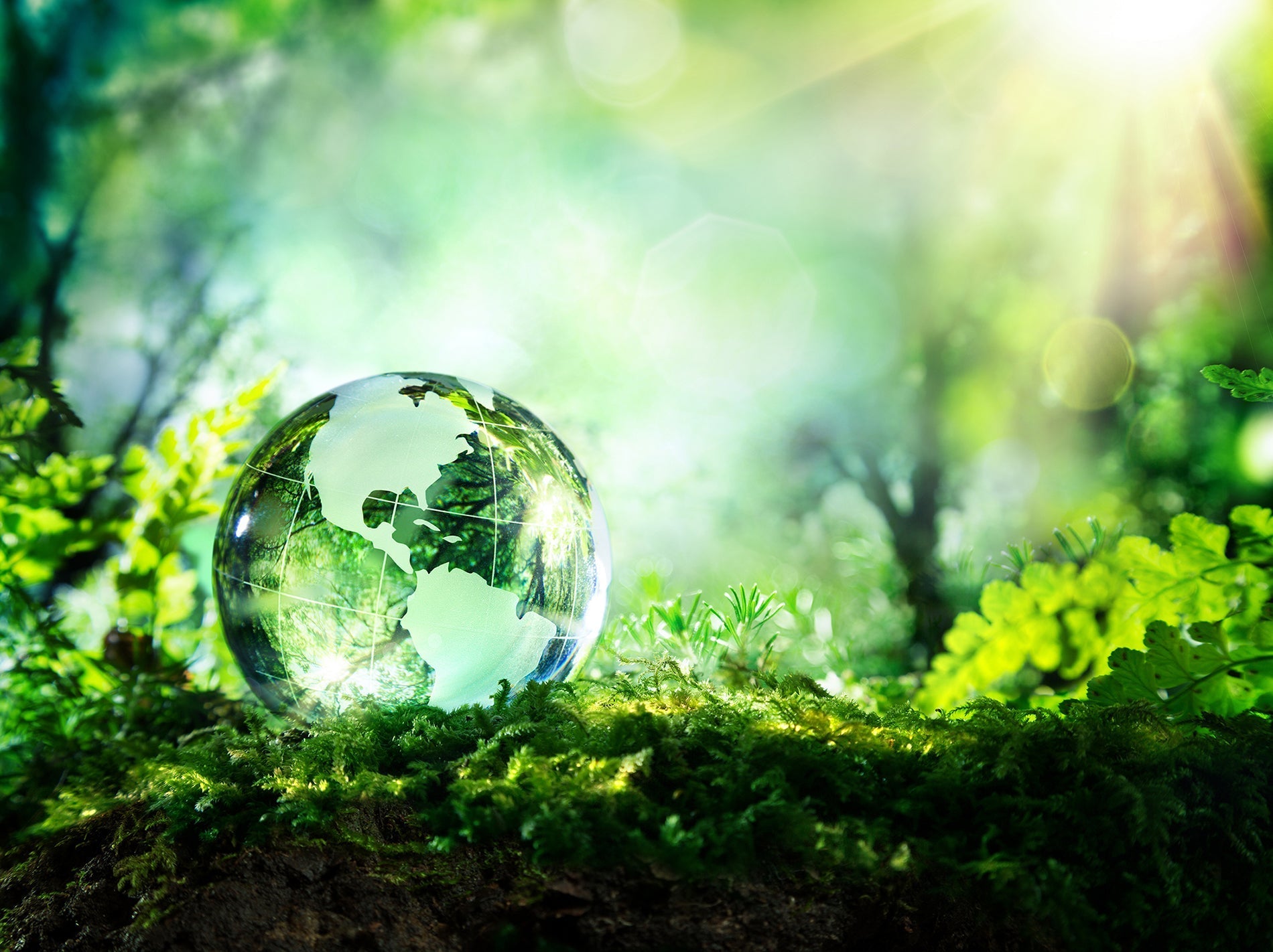 A Green Choice for Health: Why our Supplements are a Top Choice for Eco-Conscious Health