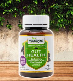 Gut Health