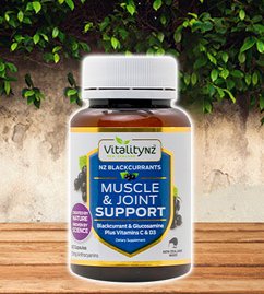 Muscle & Joint Support